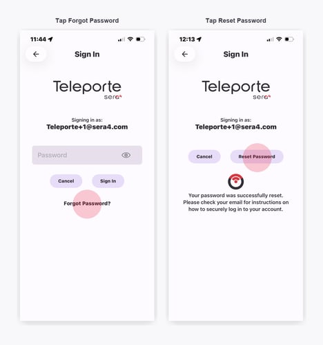 reset_password_workflow_EN
